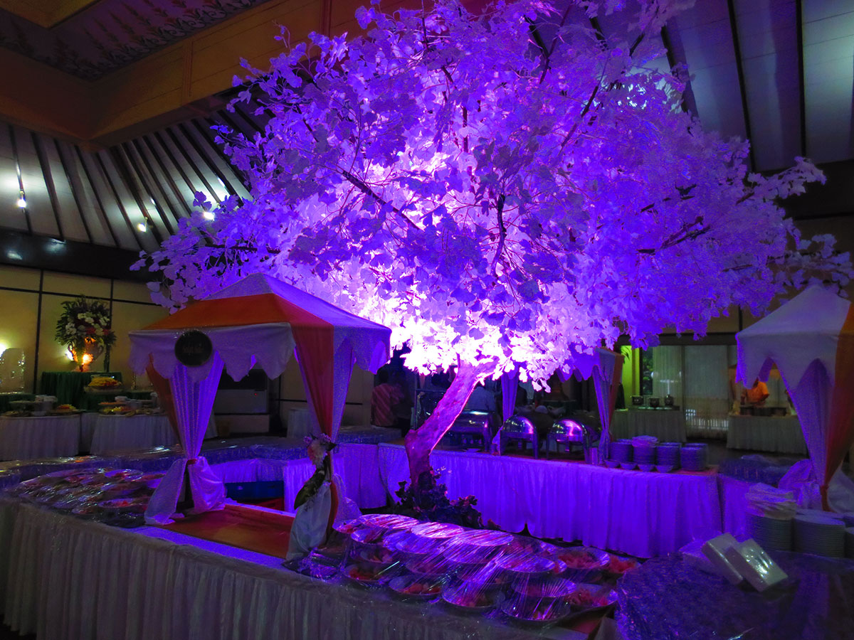 Pohon Maple & Sakura